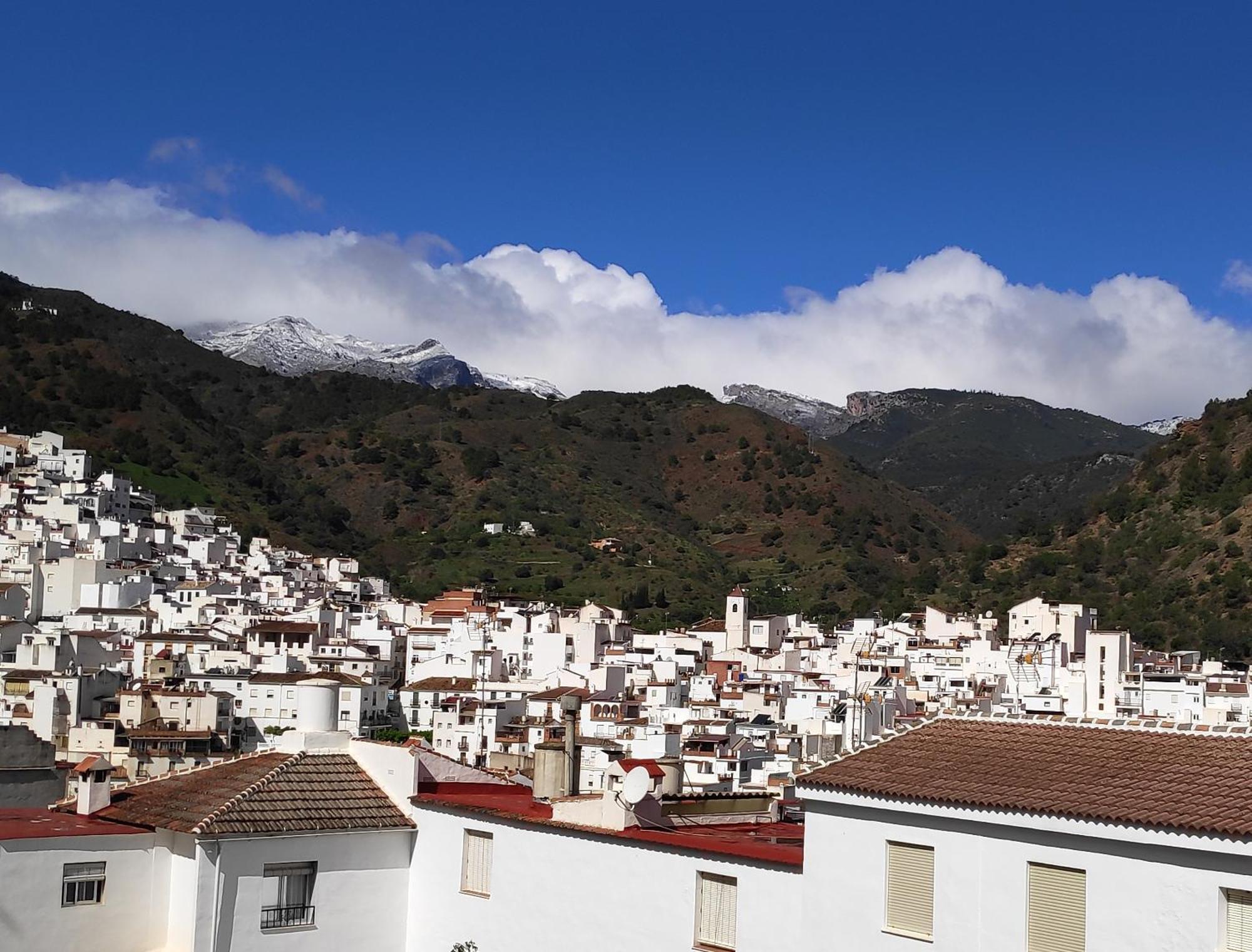 Apartamento El Almencino Tolox Dış mekan fotoğraf